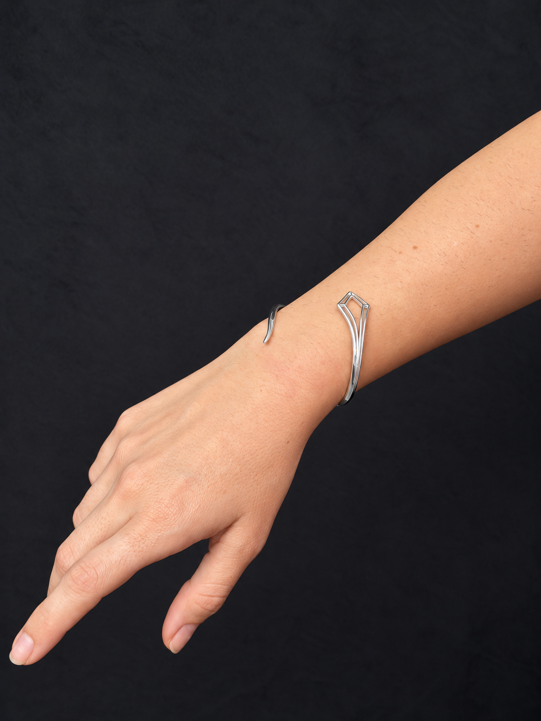 PulseraPLATAinsti Brazalete Instinto Plata