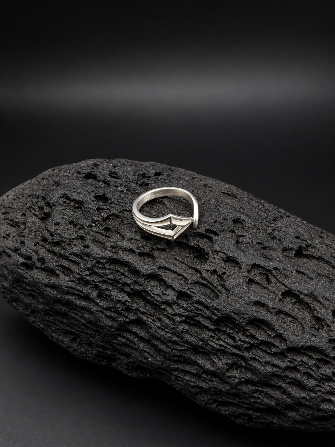 Anillo Instinto Plata