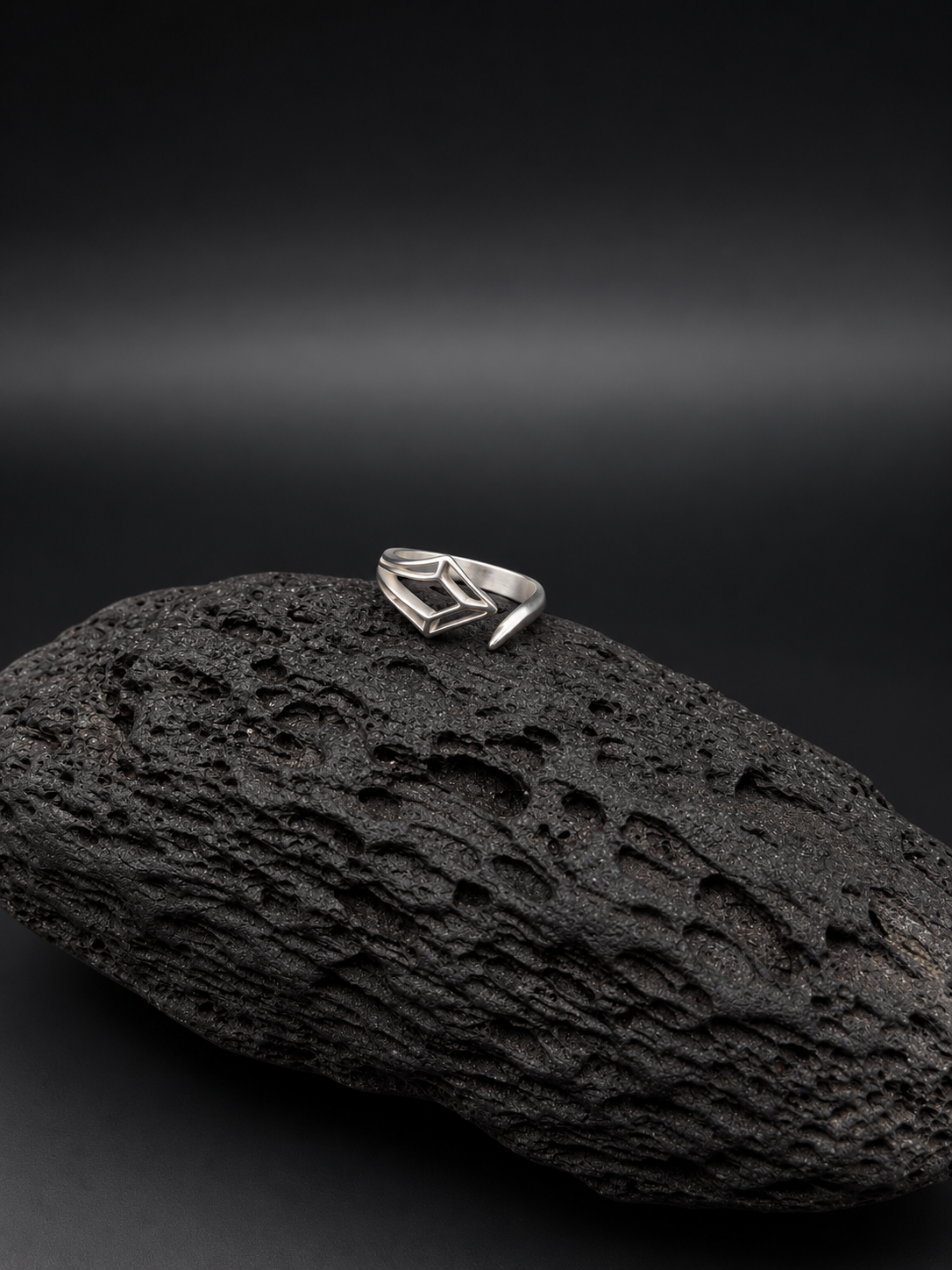 Anillo Instinto Plata